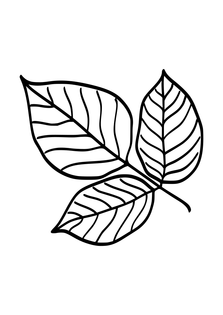 feuille-logo